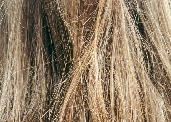 how to take a hair sample