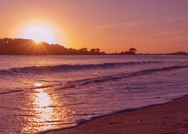 heavy metal detox for kids